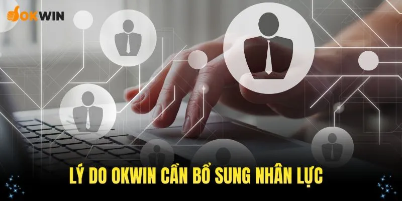 Những lý do cơ bản khiến nhà cái OKWIN cần bổ sung lực lượng lao động