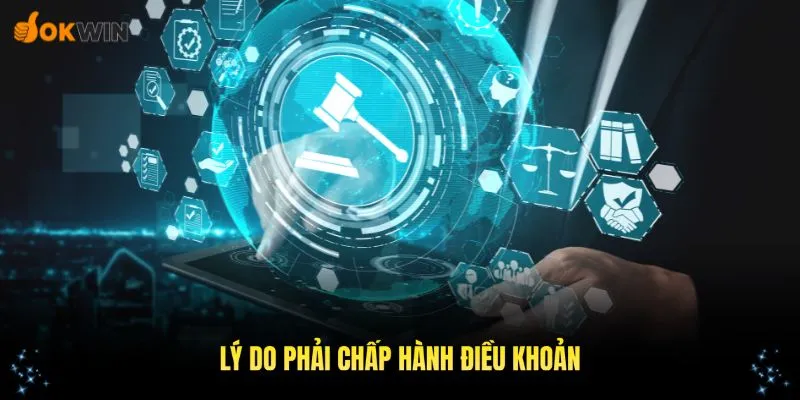 Những lý do quan trọng buộc bạn phải chấp hành điều khoản và dịch vụ OKWIN