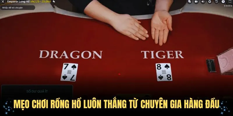 Mẹo chơi rồng hổ luôn thắng từ chuyên gia hàng đầu
