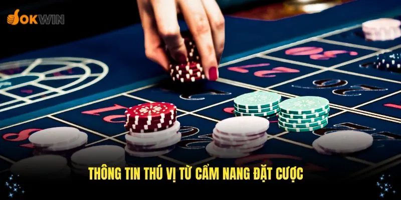 Nội dung thú vị từ cẩm nang cá cược OKWIN