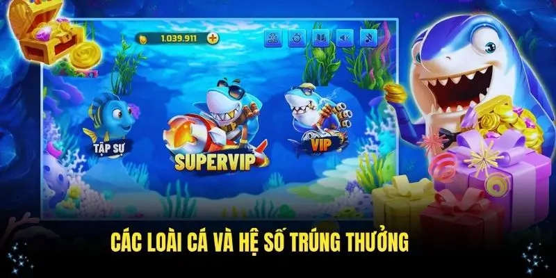 Hiểu rõ về các loài cá cũng như hệ số thưởng trong game