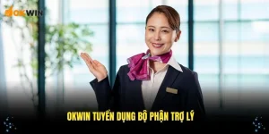 okwin-tuyen-bo-phan-tro-ly